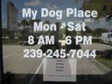 Business For Sale Pet Grooming Boarding Daycare and Boutique
