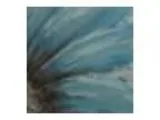Monday Funday Paint  N Sip - BYOB - Half Flower