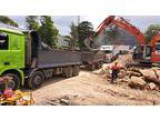 Truck and dog driver wanted 