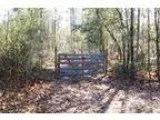 Vacant Land for Sale 30 Acres Potential Commercial Use