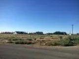 1 Acre Lot Pheasant Run Estates (Pasco) 125000 43565ft 2