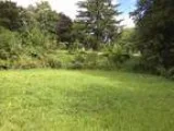 Bartlett Opportunity knocks Over sized residential lot