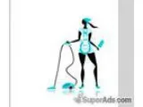 The Cleaning Lady
