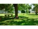 Purebred Family Pug Puppies