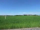 Prime Lot in Estancia