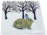 Paperproducts Design Winter Solstice Rabbit Square Appetizer Des
