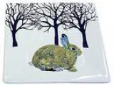 Paperproducts Design Winter Solstice Rabbit Square Appetizer Des