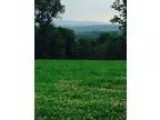 985000 0.00 BA Bedminster Twp.