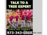 Tree Pruning in NJ