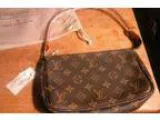 Louis Vuitton Purse (Trinity)