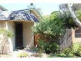 Adopt Finnegan and Muffin a New Zealand Californian