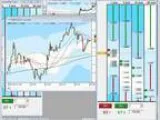 forex trading and mentoring