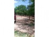 Two ten acre lots One 9 acre lot One 5 acre lot (luther)