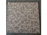 Carpet tiles Gently used (Denver)