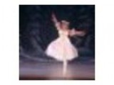 The Nutcracker