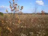38.91 Acres