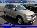 2009 Dodge Journey SXT