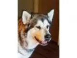 Subwoofer