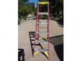 Werner 6  Fiberglass Step Ladder (Parker)