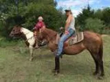 Spiritsweet little traveling sorral mare