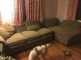 Free sectional couch (Grantcountry club)