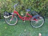 brand new 26 inch motorized 3 wheel trike (Kenosha)