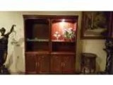Moving Sell Many Nice Items (Picture Rocks)