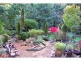Into the Mystic...on special Salt Spring Island