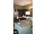 Roommate Wanted for Cute Two BR Condo