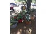 It s on..YARD SALE (Tucson)