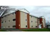 615 1 BR for rent in Saint John