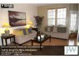 Leatherfern Ter 302-268