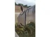 Grey Mare for sale