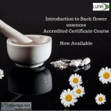 Bach flower remedies training course