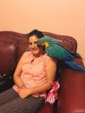 Macaw parrot for adoption