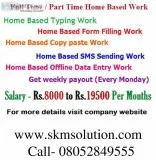Required software programmer, software d