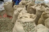 Cashew nut for sale