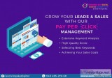 Pay per click management services