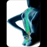 Arogyam pure herbs kit for joint pains