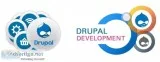 Drupal development company india