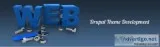 Drupal theme development services