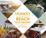 Monkey beach dive resort