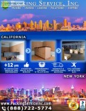 Packing company - crate and freight