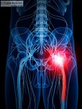 Back, Neck, Shoulder, Hip pain & stress - Dr. Scott