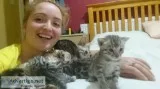 Quality bengal kittens coming with all