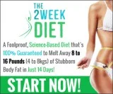 The 2 week diet