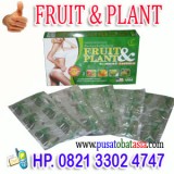 Fruit plant obat pelangsing badan terbai