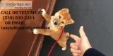 Mncdr trained shiba inu puppies for sale