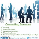 Business management consultant irving tx