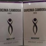 Garcinia cambogia forte obat pelangsing 